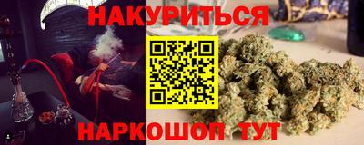 тгк Новокубанск
