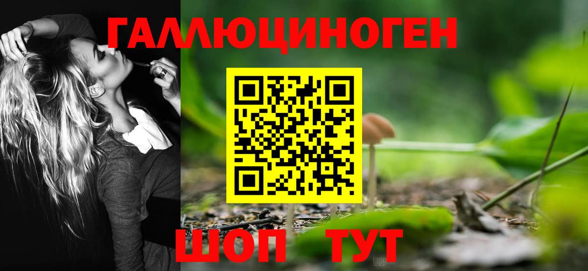 Галлюциногенные грибы мухоморы  Вход с VPN  Галлюциногенные грибы Psilocybe  Севастополь 